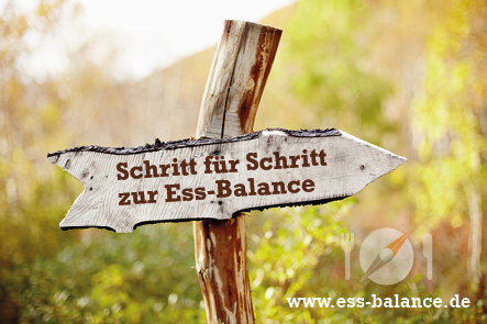 Kathleen Dippel, Ernährungswissenschaftlerin (FH), Schritt für Schritt zur Ess-Balance, auf dem Foto: in der Landschaft ein Wegweiser aus Holz mit der Aufschrift "Schritt für Schritt zur Ess-Balance"